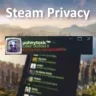 Steam隐私 Steam Privacy